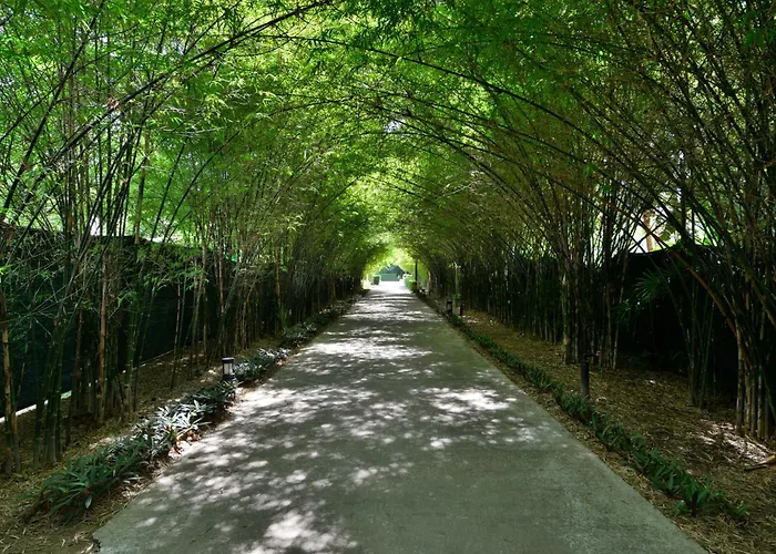 Strandhotels in Ko Lanta