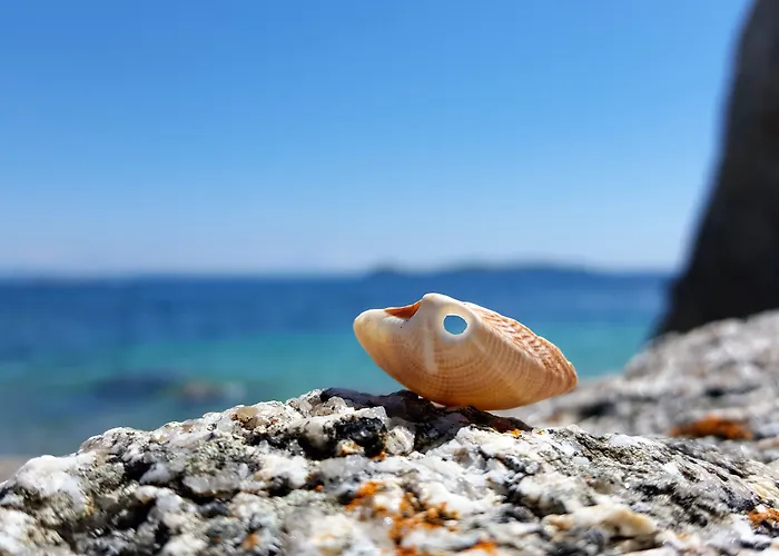 Hoteles cerca de Playa Das Pipas