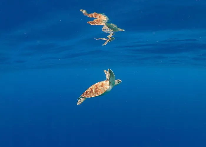 Hotéis de praia em Maafushi
