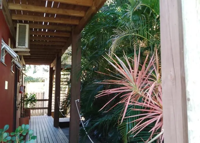 Hotéis de praia em Praia do Rosa