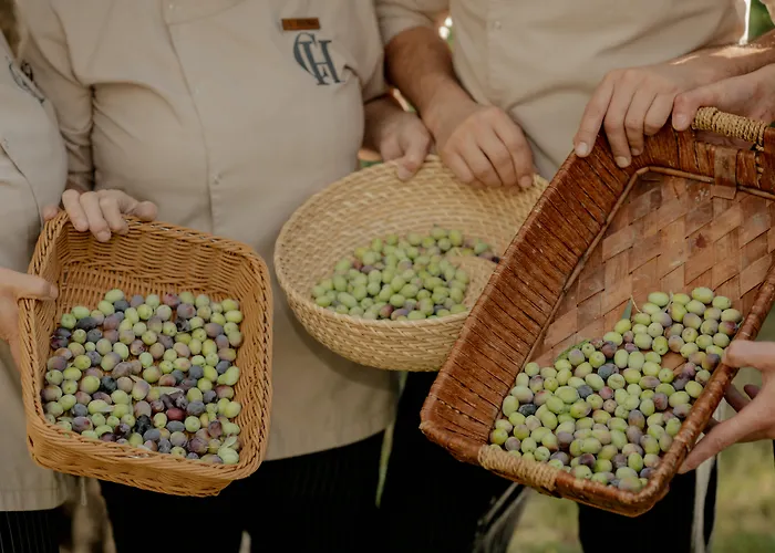 Hotels aan het strand in Side