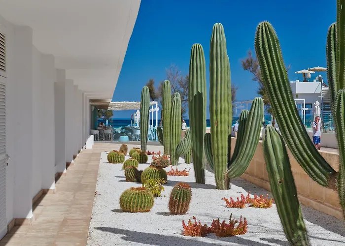 Strandhotels in Can Picafort (Mallorca)