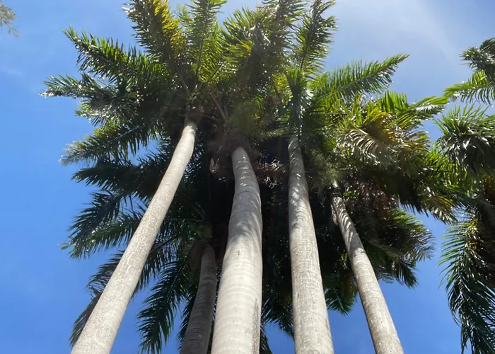 Hôtels de Montego Bay avec des vues incroyables