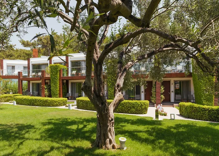 Strandhotels in Ayvalı