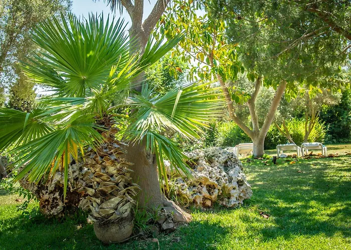 Hoteles con Vistas Maravillosas en Calas de Mallorca
