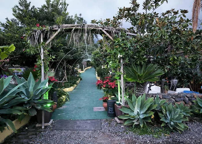 Hoteles de Playa en Güímar 