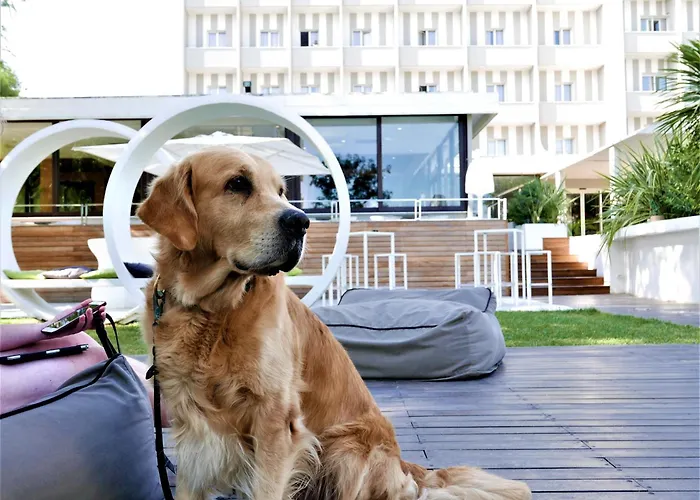 Hotel sulla spiaggia a Viserbella di Rimini