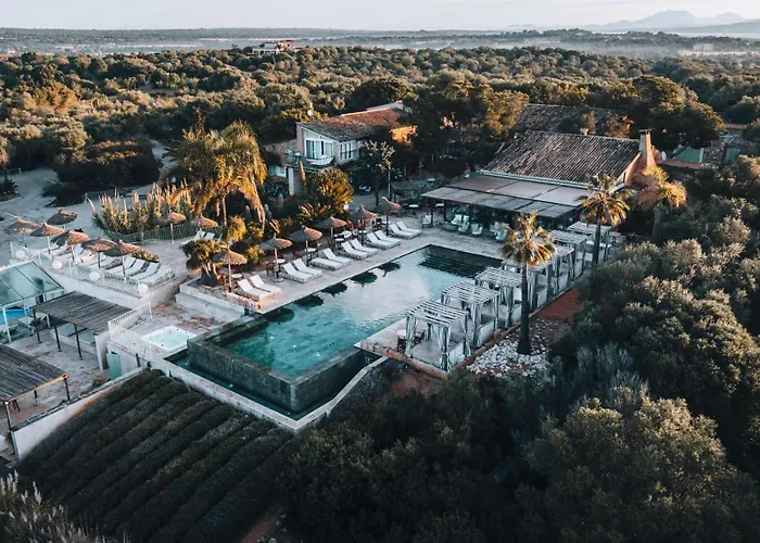 Hoteles de Playa en Ses Salines 
