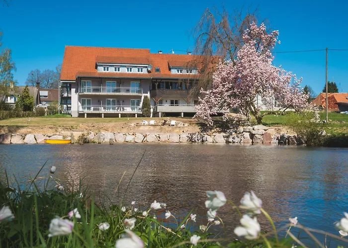 Hotels mit schöner Aussicht in Laufenburg