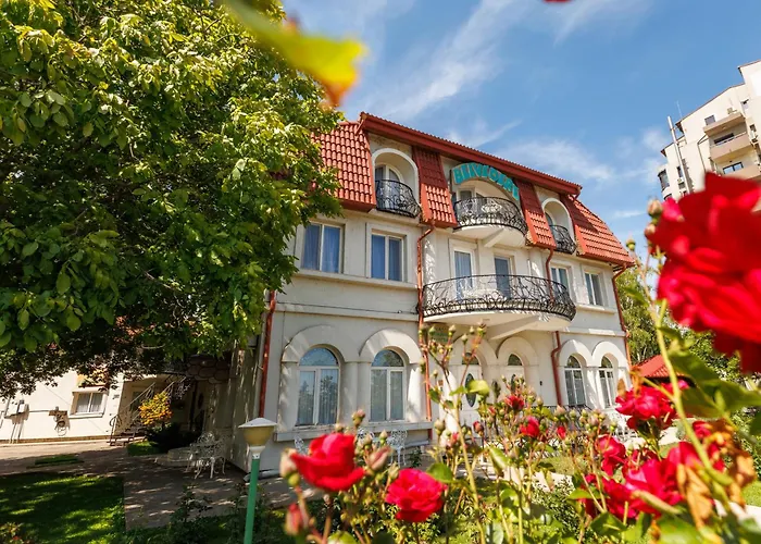 Hoteles con Vistas Maravillosas en Galaţi