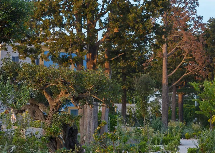 Hotel con viste meravigliose a Selva Di Fasano
