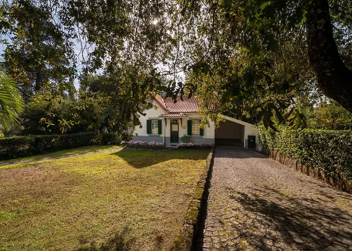 Hotéis com vista melhor em Nelas