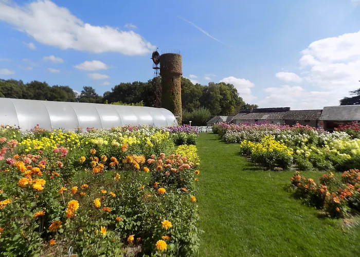 Hôtels de Montlouis-sur-Loire avec des vues incroyables