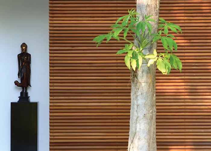 Chaweng (Koh Samui) Hotels With Amazing Views