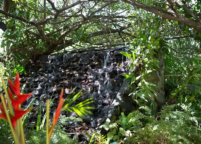 Hotels met een prachtig uitzicht in Paramaribo
