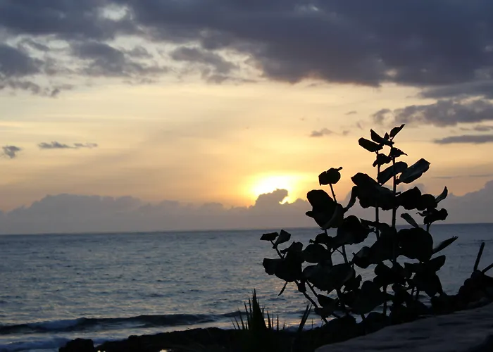 Hoteles de Playa en Los Llanos De Aridane 