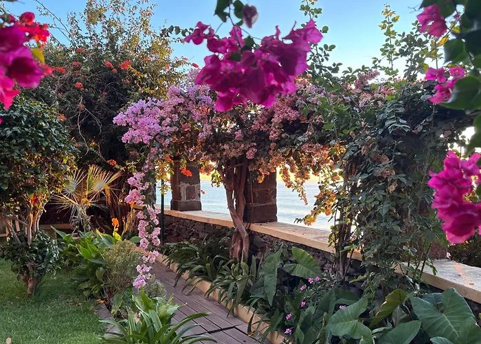 Hotéis com vista melhor em Jardim do Mar