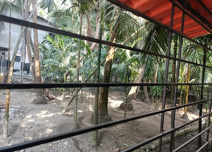 Alibag Beach hotels