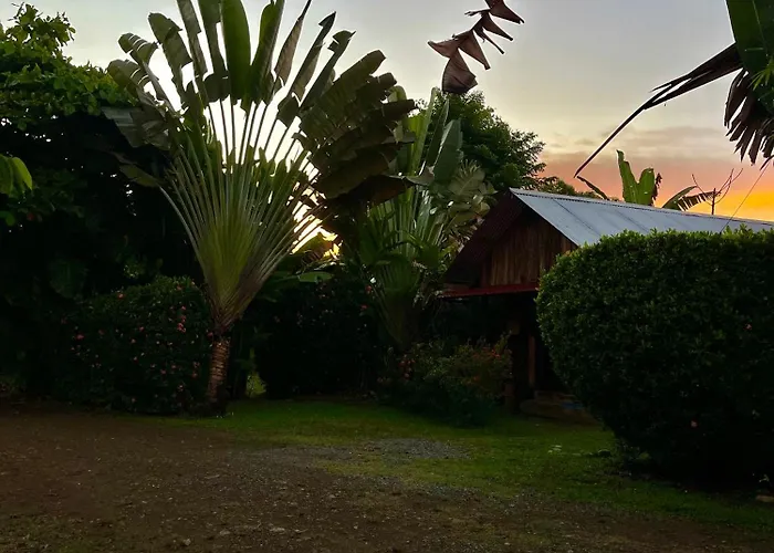 Uvita Beach hotels