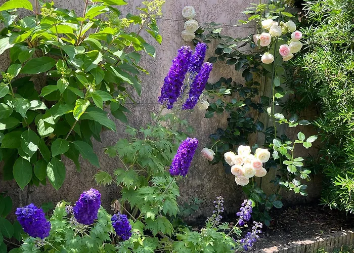 Hotel con viste meravigliose a Giverny