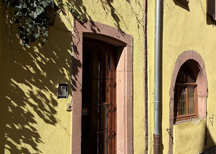 Hoteles de Playa en Riquewihr 