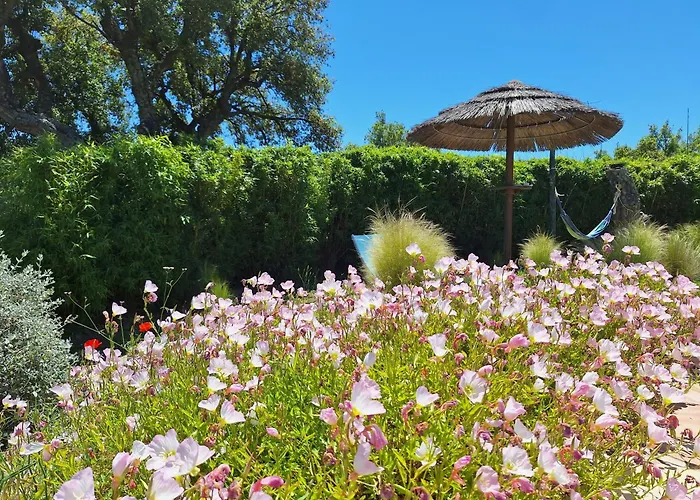 Hoteles con Vistas Maravillosas en Grimaud