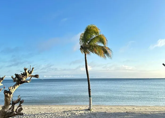Hoteles de Playa en Porlamar 