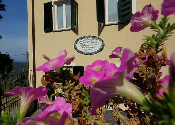 Hoteles con Vistas Maravillosas en Monterosso al Mare