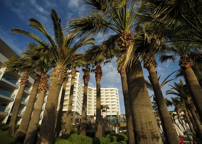Hotels in de buurt van jachthaven van Cesme