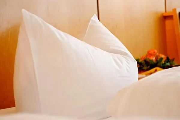 Hotels met een prachtig uitzicht in Sankt Gallenkirch