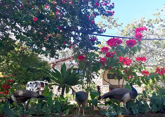 Hotéis de Triunfo (Pernambuco) com vistas incríveis