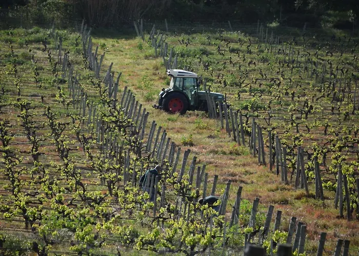 Hotéis perto de Bacalhôa Vinhos de Portugal