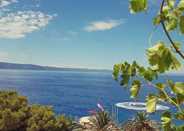Strandhotels in Podgora (Split-Dalmatia)